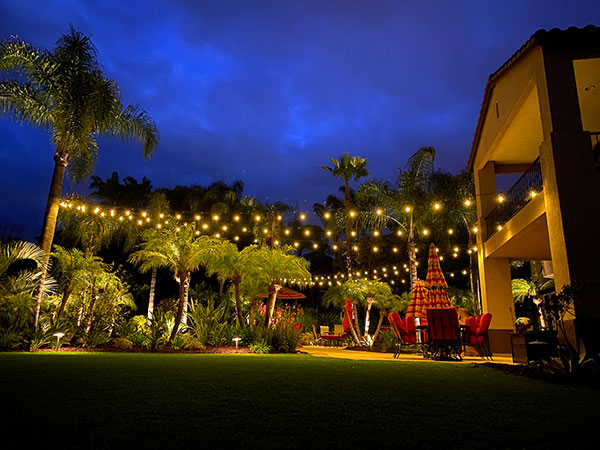 photo of landscape lighting